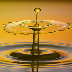 Informer l'eau