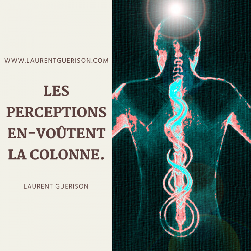 Envoute